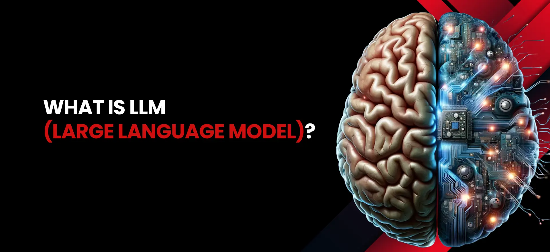 What is Large Language Model?